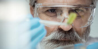 Die JRS Pflanzenfaser-Technologie.