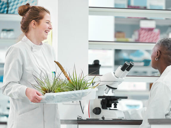 Forschung und Entwicklung