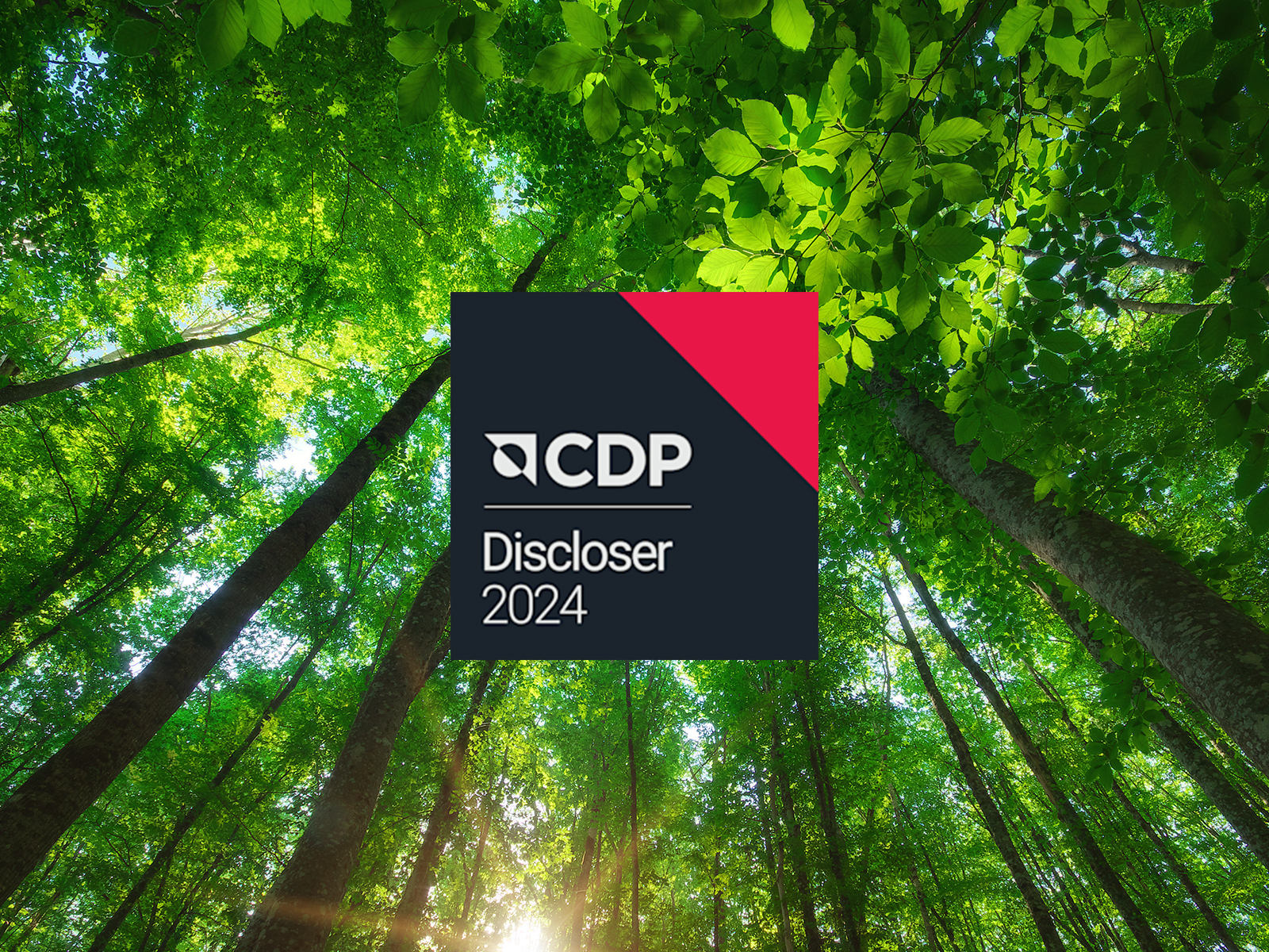 JRS schließt CDP Sustainability Rating ab.