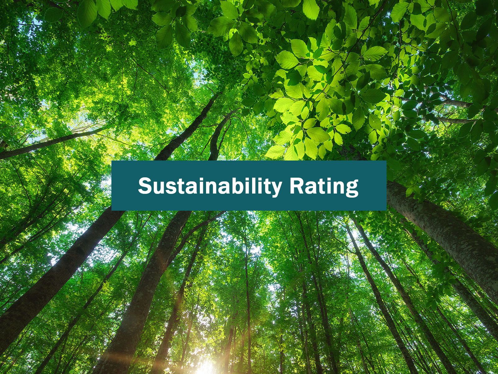 Im Ecovadis Rating 2025 verbessert